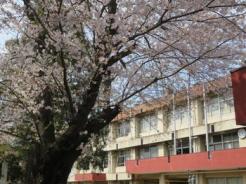 松戸市立東部小学校 