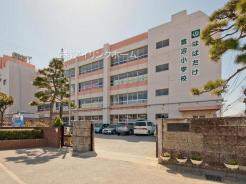 習志野市立鷺沼小学校 