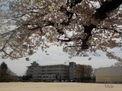 松戸市立金ケ作小学校 