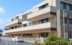 さわらびドリームこども園 