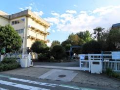 柏市立酒井根小学校 