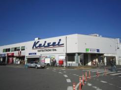 東葉勝田台駅(東葉高速鉄道 東葉高速線) 