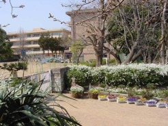 千葉市立弥生小学校 