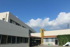 みつわなかよし保育園 