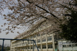 松戸市立幸谷小学校 