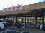 エコス市川島尻店  600m