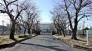 市川市立百合台小学校  420m