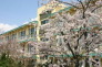 千葉市立幕張東小学校  110m