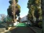 柏市立富勢小学校  800m