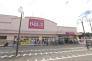 ベルクス市川堀之内店  856m