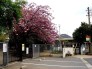 明徳そでにの保育園  647m
