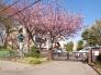 八千代市立西高津小学校  1400m