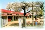 習志野市立向山幼稚園  280m