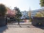 八千代市立南高津小学校  75m