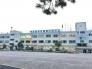 江戸川区立中小岩小学校  478m