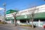 マルエツ小金原店  640m