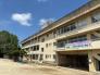 松戸市立貝の花小学校  905m