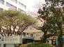 医療法人巻石堂病院  614m