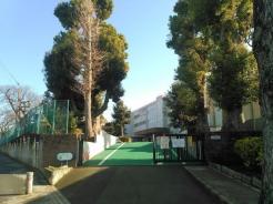 柏市立富勢小学校