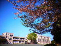 千葉市立上の台小学校