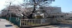 習志野市立藤崎小学校