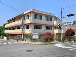 はなみずきこども園