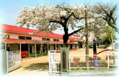 中台幼稚園