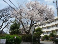 船橋市立峰台小学校