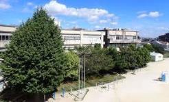 松戸市立柿ノ木台小学校
