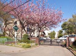 八千代市立西高津小学校