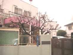 まどか保育園