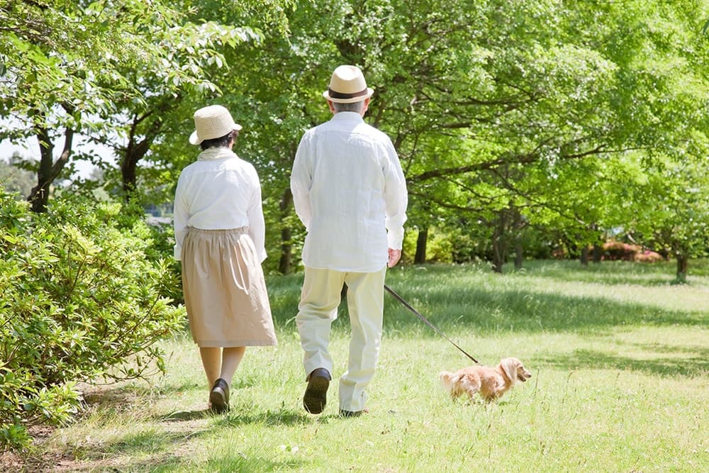 イメージ写真：老夫婦の休日