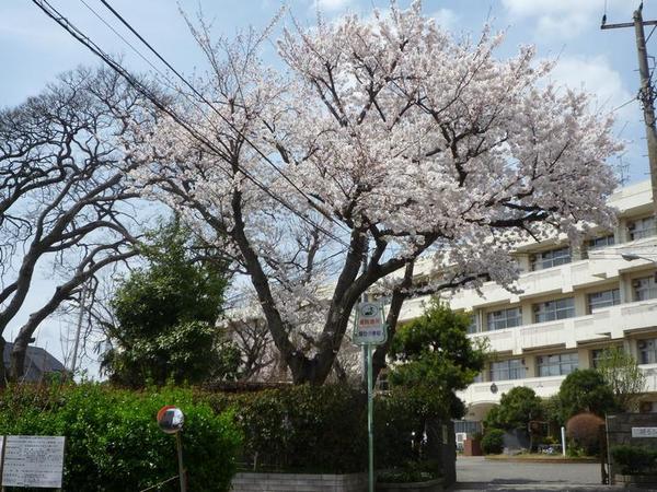 船橋市立峰台小学校
