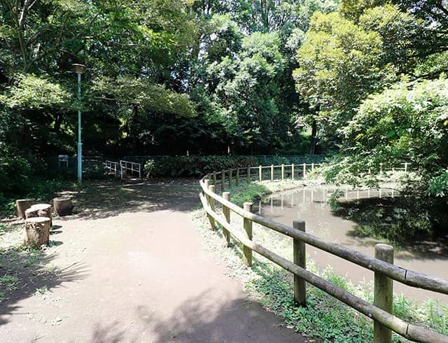 飯山満緑地公園